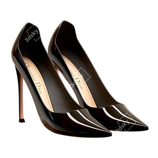 Chic Dior D-Moi Pumps 3D model image 3