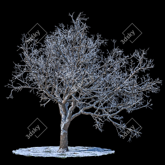 Snowy Winter Apple Tree 3D model image 1