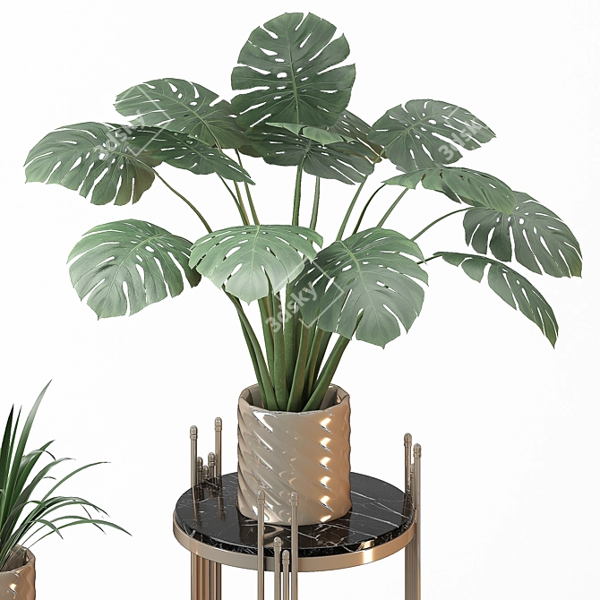 Golden Vase Indoor Plant Set 3D model image 5