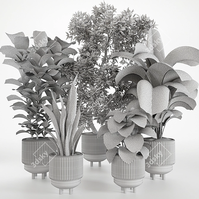 Tropical Houseplants in Stone Pots 3D model image 5