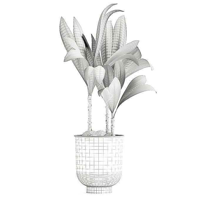 Tropical Loft Plant Collection 3D model image 6