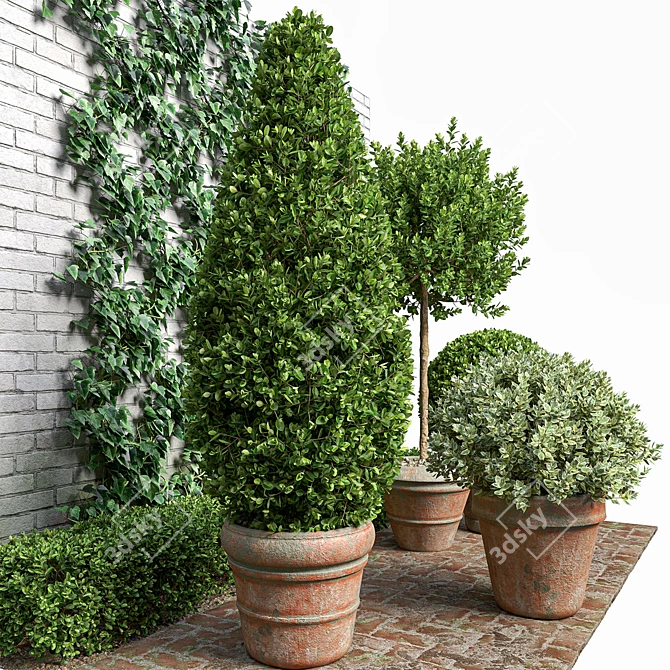 Natural Greenery Set: Boxwood, Dogwood, Ivy 3D model image 2