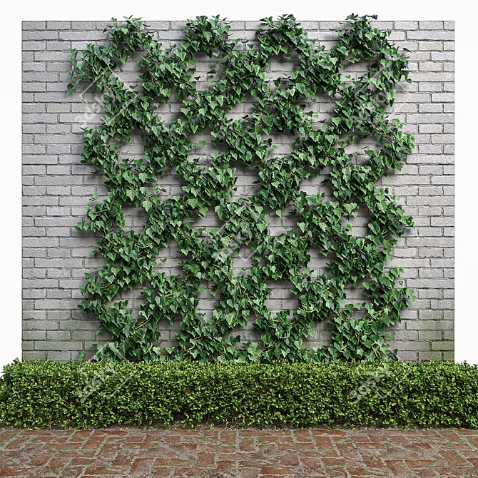 Natural Greenery Set: Boxwood, Dogwood, Ivy 3D model image 4