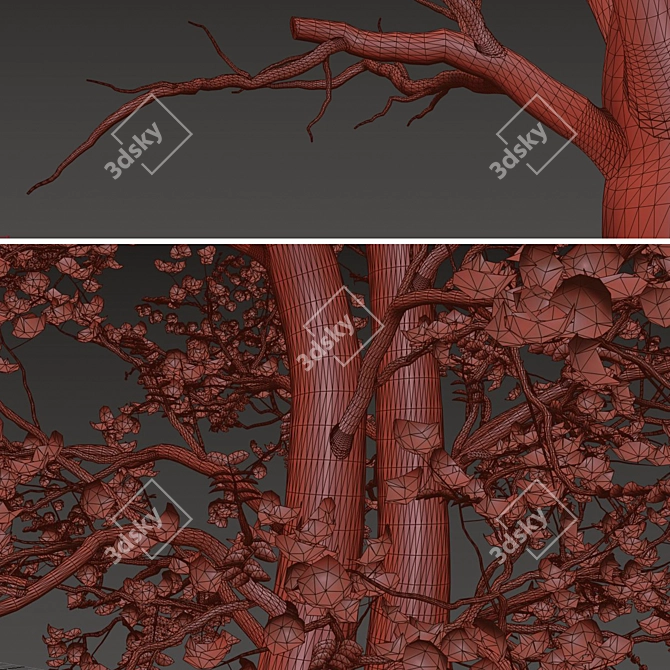 Chanticleer Trees: Elegant Pair for Your Landscape 3D model image 6