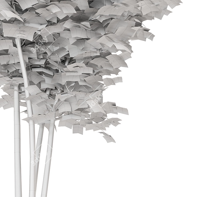 Rustic Charm: Set of Four Outdoor Bamboo Trees 3D model image 5