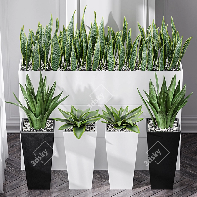 Sanseveria Snake Plant: Office Partition Air Purifier 3D model image 2