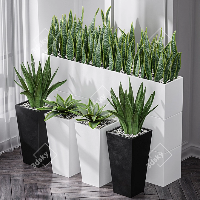 Sanseveria Snake Plant: Office Partition Air Purifier 3D model image 3