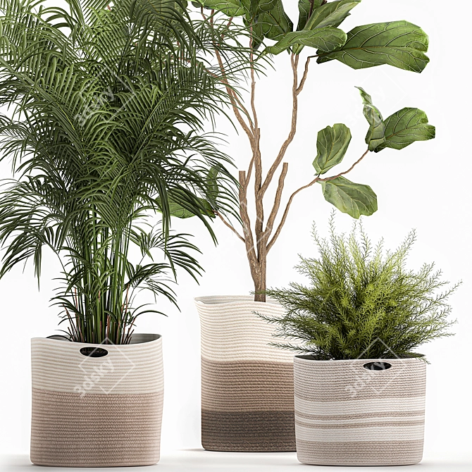 Decorative Plant Collection: Exotic Indoor Plants 3D model image 2