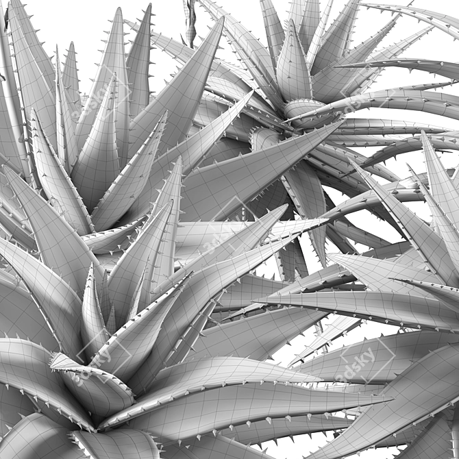 2013 Aloe Brevifolia: Unique Short Leaf Succulent 3D model image 6