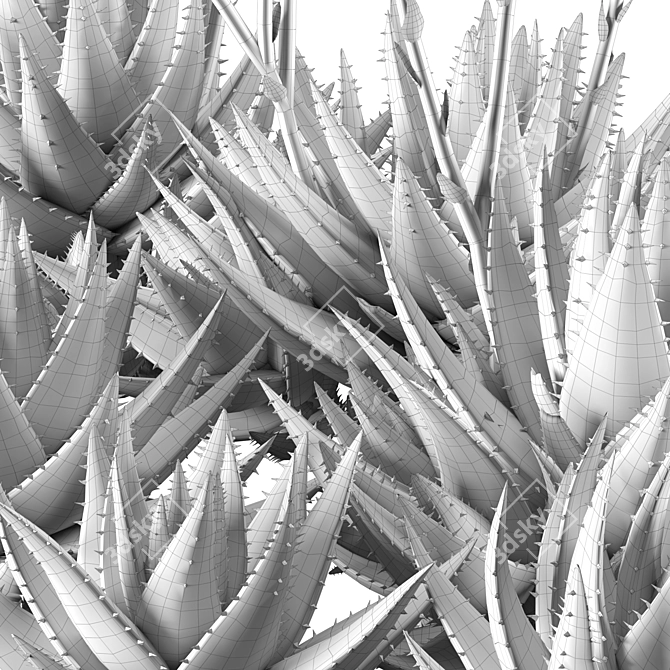 Compact Short Leaf Aloe 3D Model 3D model image 6