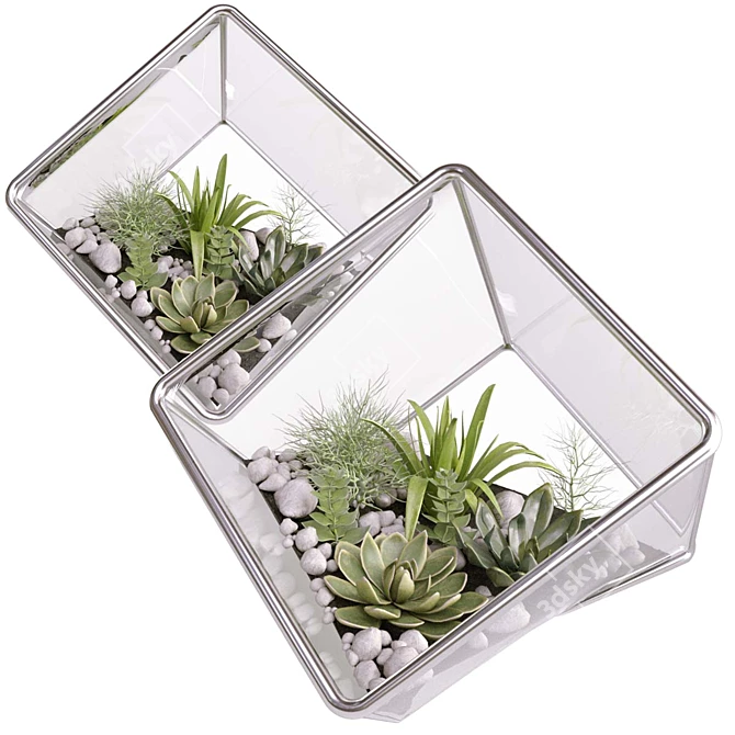 Modern Cube Florarium Kit 3D model image 1