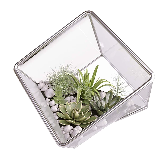 Modern Cube Florarium Kit 3D model image 2