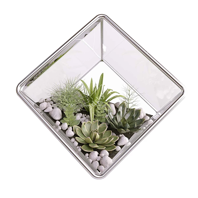 Modern Cube Florarium Kit 3D model image 3