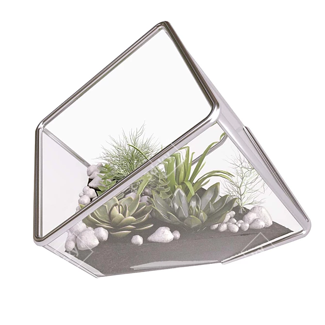 Modern Cube Florarium Kit 3D model image 4