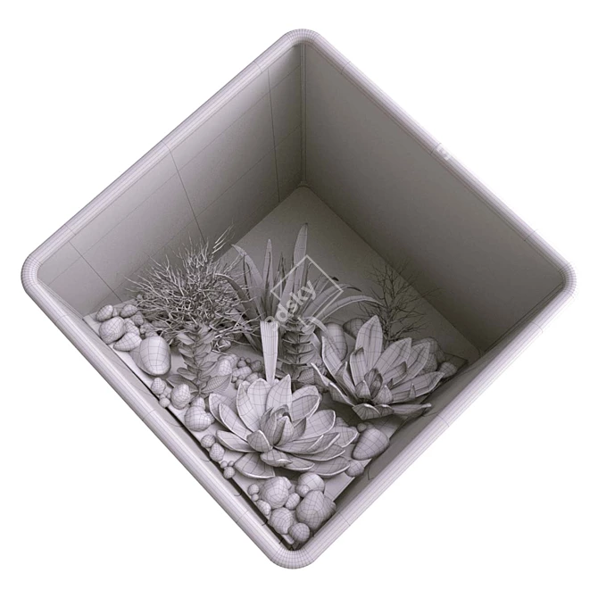 Modern Cube Florarium Kit 3D model image 5