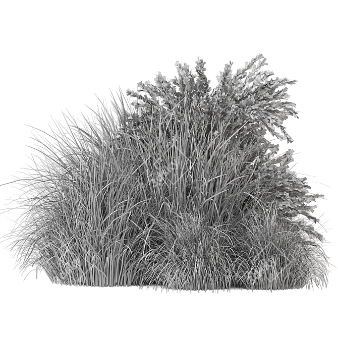 Outdoor Bush Plants Set 197 | 3dsMax + Vray/Corona 3D model image 5