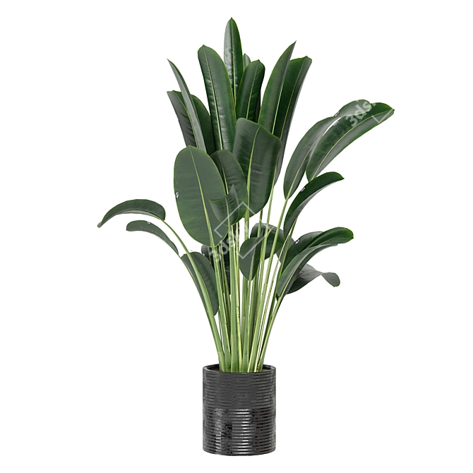 Indoor Plants Collection - Set 198: 3D Model Bundle 3D model image 6
