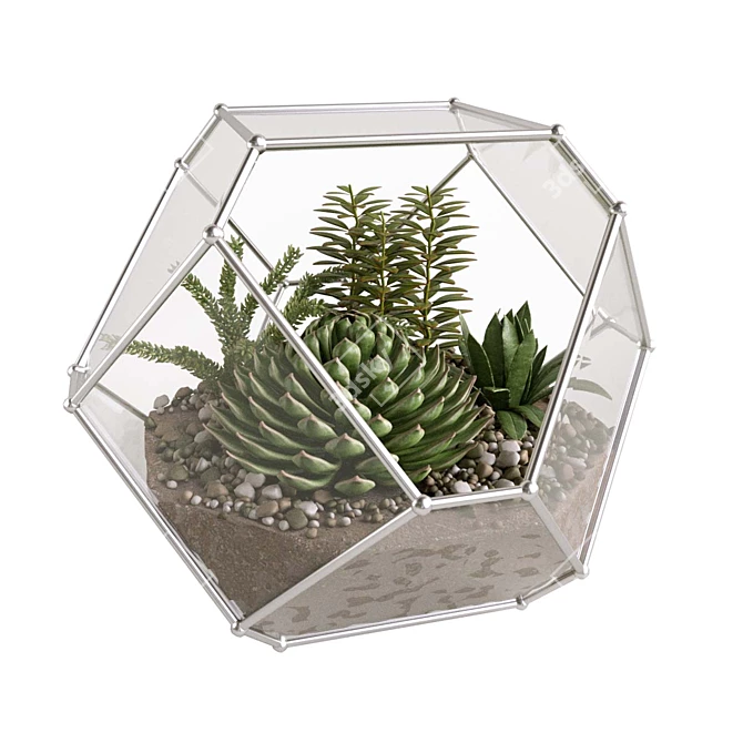 Succulent Paradise: Florarium with Stunning Live Greens 3D model image 1