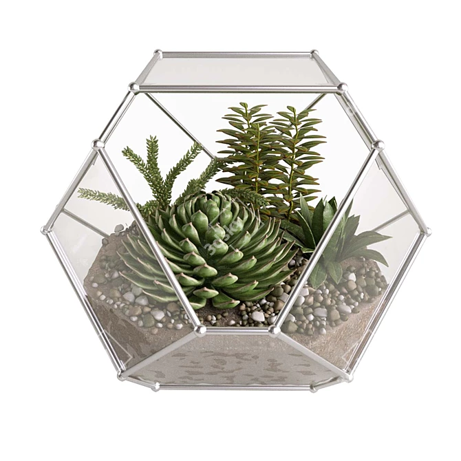 Succulent Paradise: Florarium with Stunning Live Greens 3D model image 2