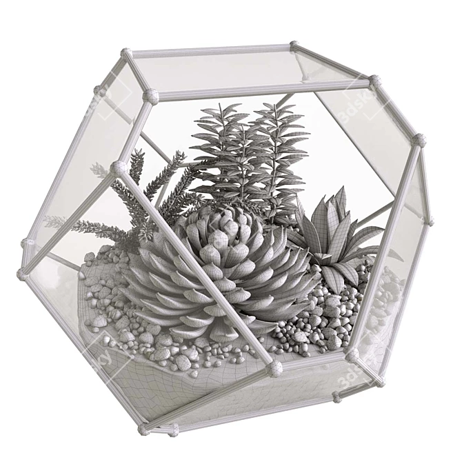 Succulent Paradise: Florarium with Stunning Live Greens 3D model image 4