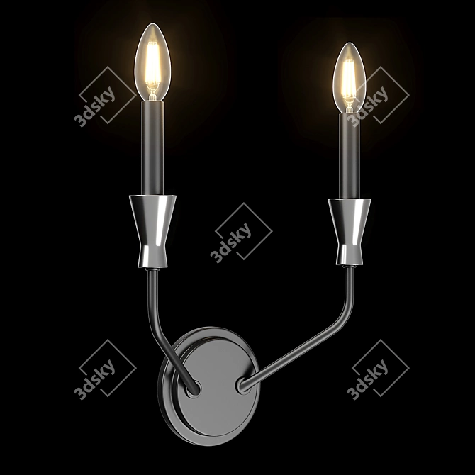 Modern 2-Light Ragno Pendant 3D model image 2