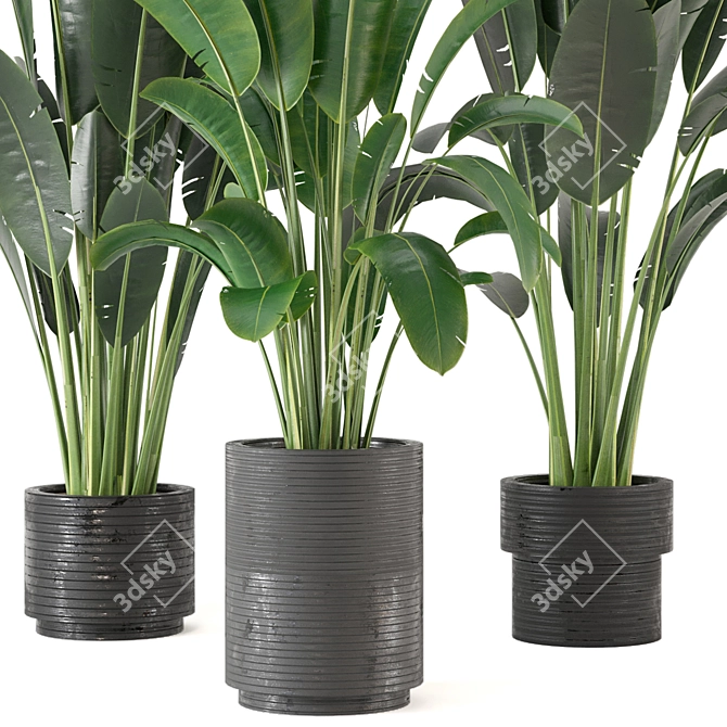 Indoor Greenery Collection - Set 201 3D model image 4