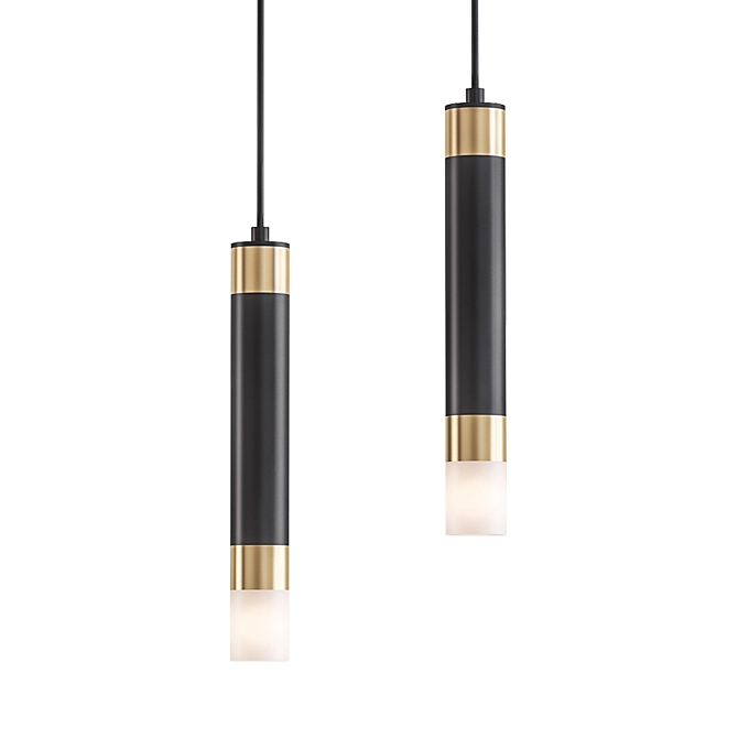 Modern Black Ceiling Light Fixtures 3D model image 1