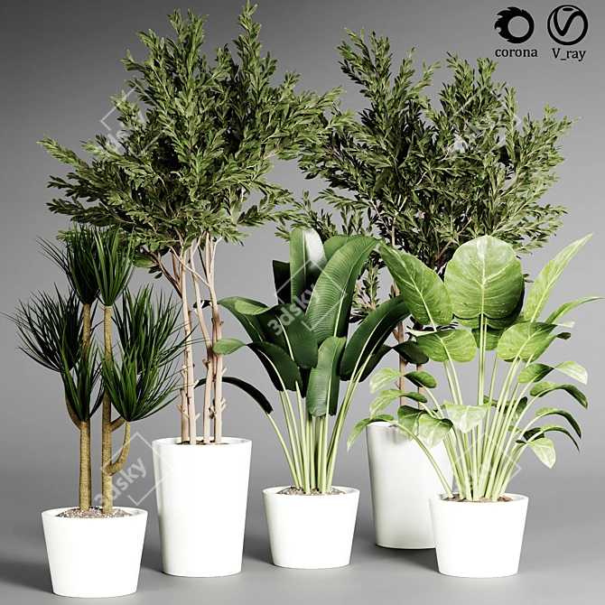  Indoor Plant Collection - 32 Varieties 3D model image 1