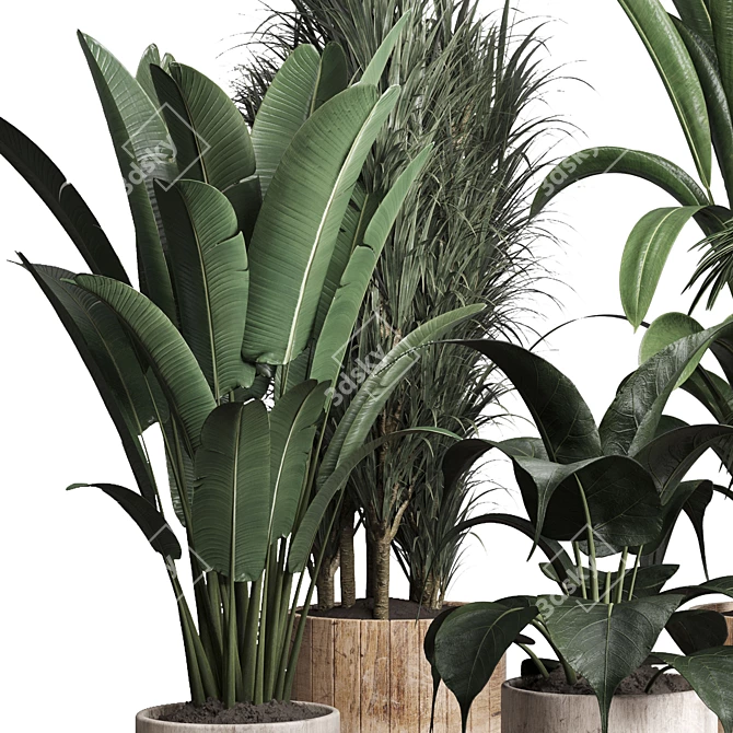 Lush Greenery: 174-Pot Indoor Plant Collection 3D model image 2