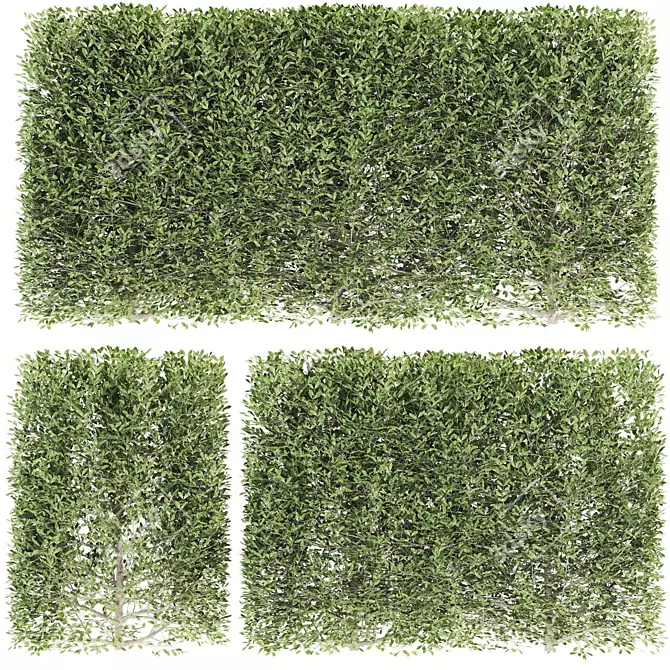 Flora Fence: Bushes, Hedges & Flowers 3D model image 1
