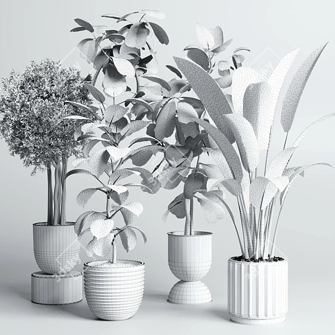 Natural Greenery Collection: Ficus Rubber Tree Pot 3D model image 3