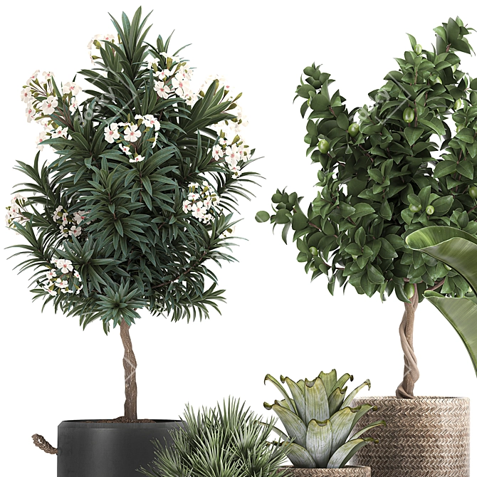 Tropical Loft Plant Collection 3D model image 4