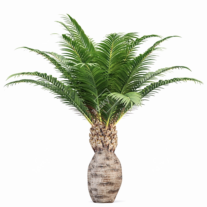 Tropical Palm Tree Collection: 14 Exquisite Varieties 3D model image 3