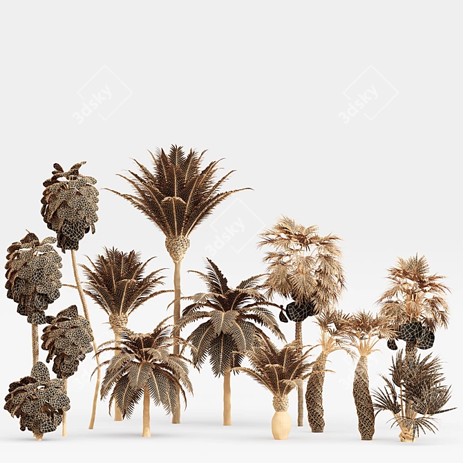 Tropical Palm Tree Collection: 14 Exquisite Varieties 3D model image 7