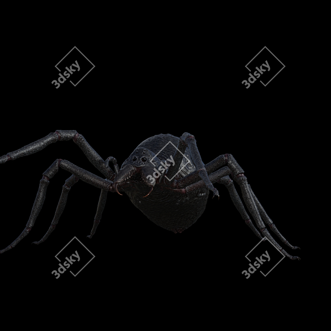 Title: Textured Spider with Skeleton 3D model image 1