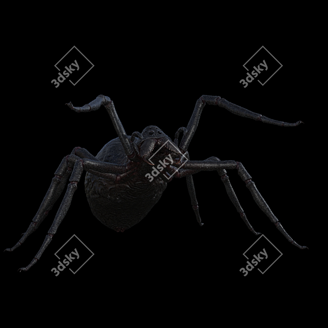 Title: Textured Spider with Skeleton 3D model image 2