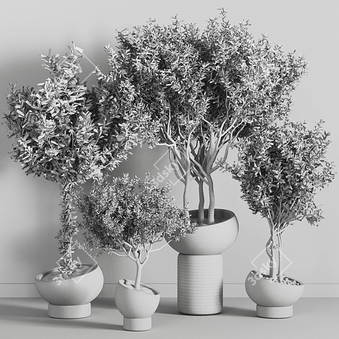 Versatile Indoor Plant - Modern Design 3D model image 5
