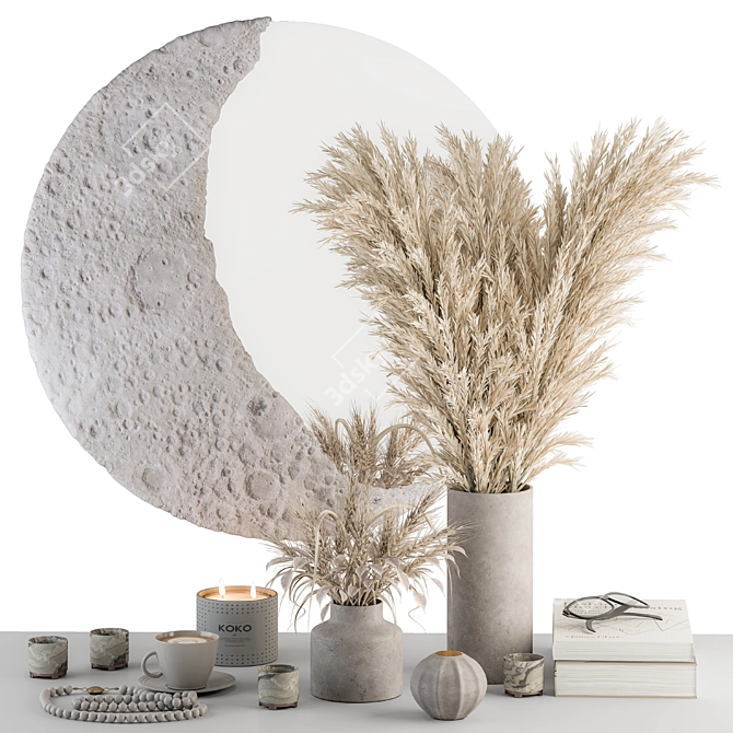 Moon Mirror Set with Dried Plant 3D model image 1