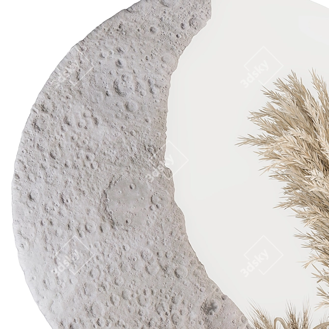 Moon Mirror Set with Dried Plant 3D model image 3