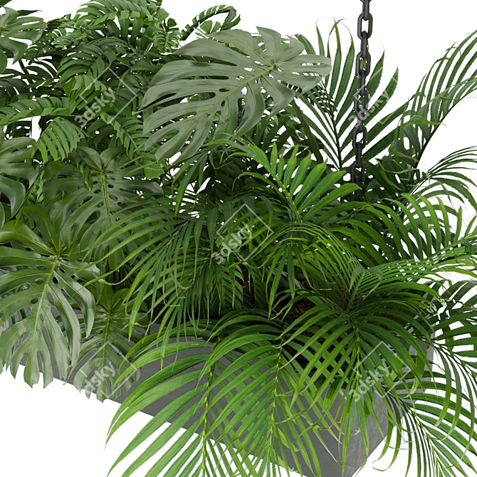 Indoor Jungle: Monstera & Palm Collection 3D model image 4