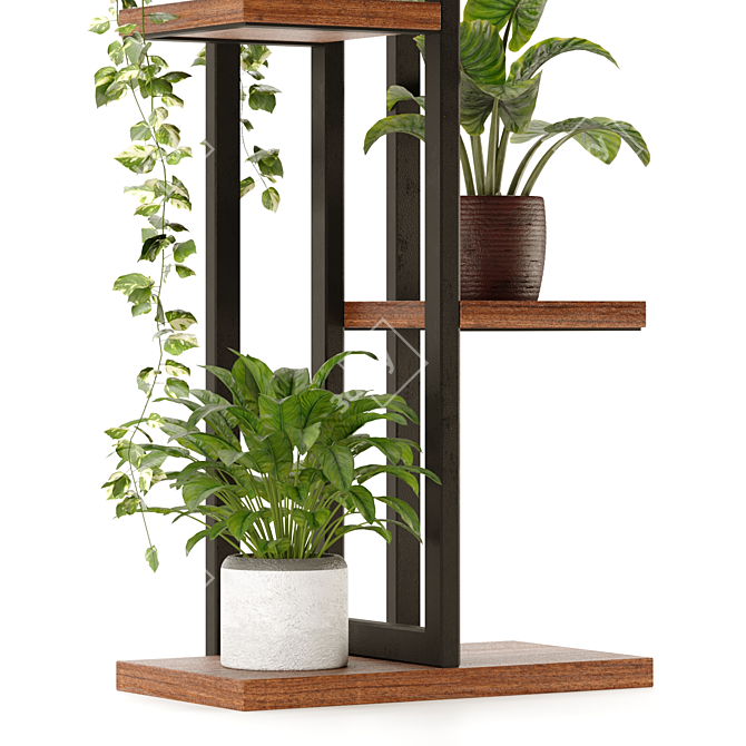 Green Oasis: Indoor Plant Collection 3D model image 3