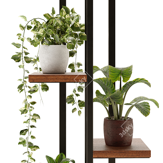 Green Oasis: Indoor Plant Collection 3D model image 4