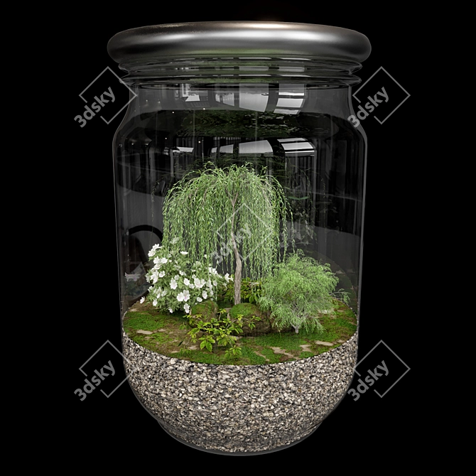 Exquisite Terrarium Plant Collection 3D model image 2