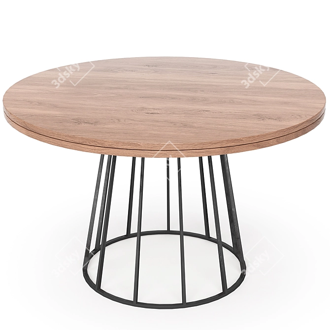 Elegant Dining Set 148 3D model image 3