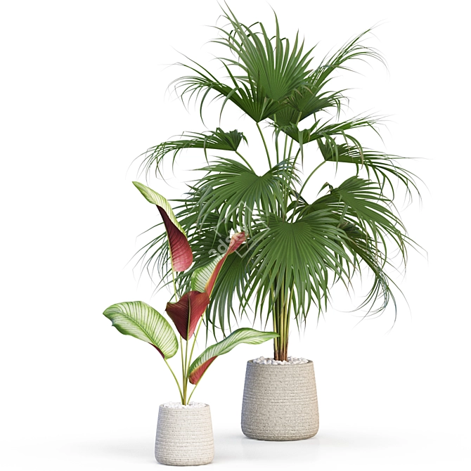 Botanical Oasis: Precisely Crafted Plants 3D model image 3