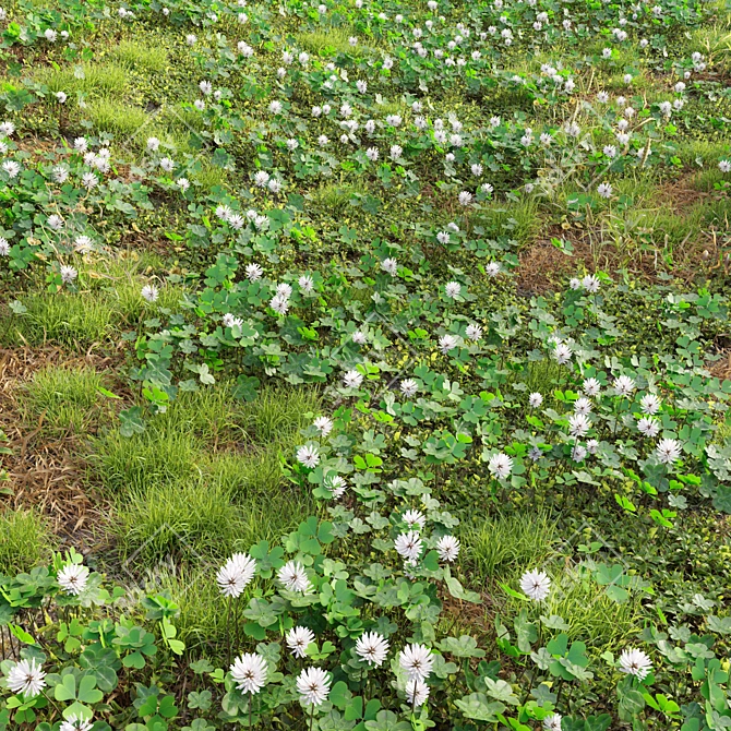 Meadow Bliss: Clover Plants 3D model image 1