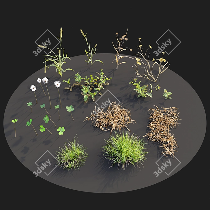 Meadow Bliss: Clover Plants 3D model image 3