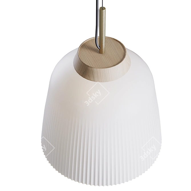 Campa Pendant Lights: Stylish and Functional 3D model image 2