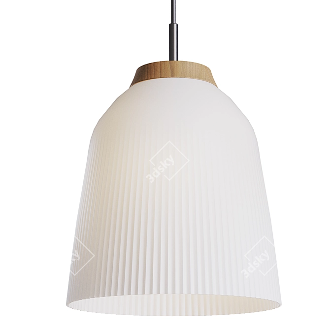 Campa Pendant Lights: Stylish and Functional 3D model image 3