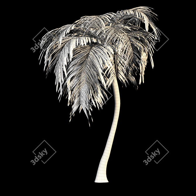 Tropical Bliss: Palm Tree Paradise 3D model image 8